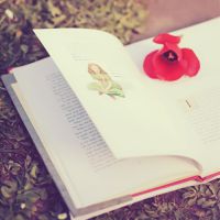 �����������������ĵĻ���