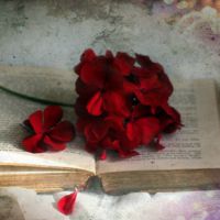 �����������������ĵĻ���