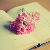 �����������������ĵĻ���