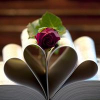 �����������������ĵĻ���