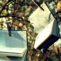 �����������������ĵĻ���