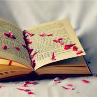 �����������������ĵĻ���