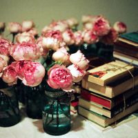 �����������������ĵĻ���