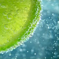 ���ʲ���