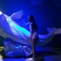 ����������Ψ����