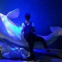 ����������Ψ����