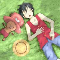 ���벻���Ϊ�������Ĺ���