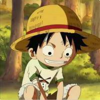 ���벻���Ϊ�������Ĺ���