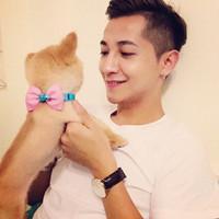 ���ֱײ�İ����㣬ֱ��������������