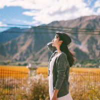 �Ҿ��ǰ����������ӣ������������