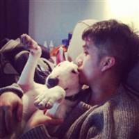 ��Ƣ�������ռ����QQͷ���ȫ