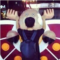 �����ĺ��������鱻ʱ�⸲����ɳ̲��