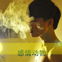 �������������˸��⾳ͷ��