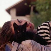 �ܺ�������������̲��ˣ�ֱ��������