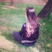 ����������.