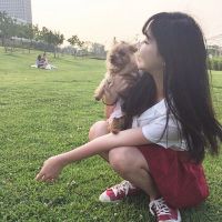 һ�����ŵ�����ͷ