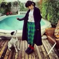 ����ʢ������������