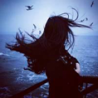 ж��αװ����������������