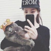 ŷ�������Style