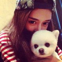 ŷ�������Style