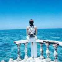 ŷ�������Style