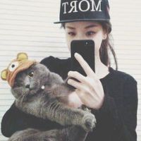 ŷ�������Style