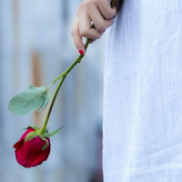 ���Ļ���.