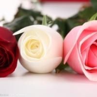 ���Ļ���.