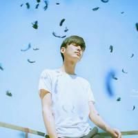 ��������ͷ��