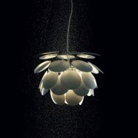 ���Ƴ���