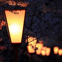 ���Ƴ���