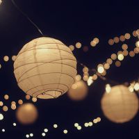 ���Ƴ���