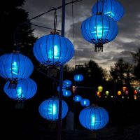 ���Ƴ���