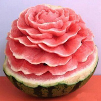 ������� ��������