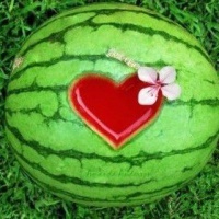 ������� ��������