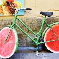 ������� ��������