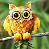 ���Ŷ������ĳԵ�ˮ��������