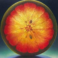 ���Ŷ������ĳԵ�ˮ��������