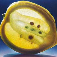 ���Ŷ������ĳԵ�ˮ��������