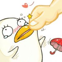 ��������ta��С����