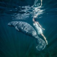 ˮ������