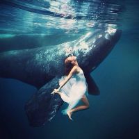 ˮ������