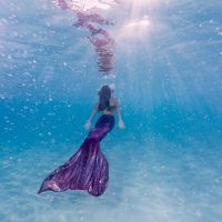 ˮ������