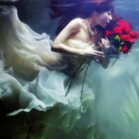 ˮ������