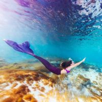 ˮ������