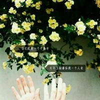 �ӵ����e���Ǌ�