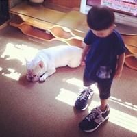 ��ô�ز������ɵľ�ͷ���뿪