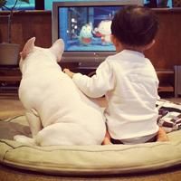 ��ô�ز������ɵľ�ͷ���뿪