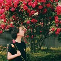 ���ҳ������׸� ������������