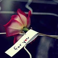 ���ҳ������׸� ������������